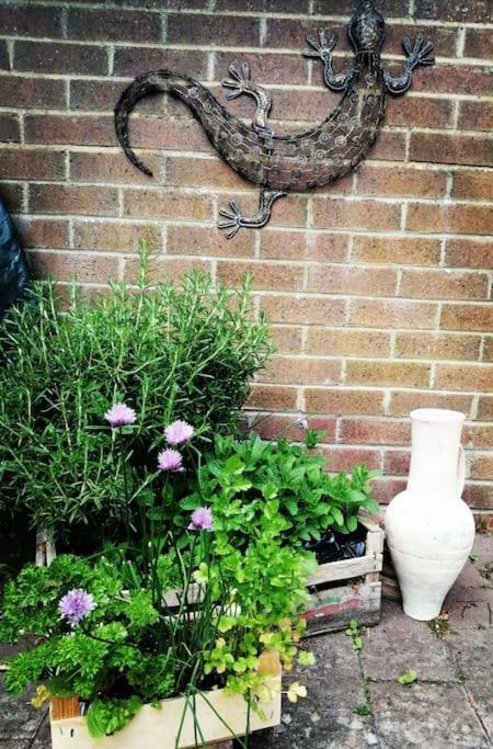 Garden Apartment Morpeth- With Lockable Bike Storage! Buitenkant foto