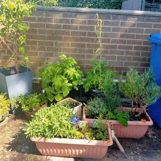Garden Apartment Morpeth- With Lockable Bike Storage! Buitenkant foto